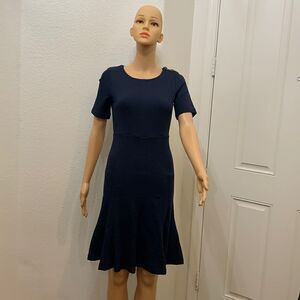 Banana Republic Scoop Neck Navy Blue Flare Bottom Zipper Back Short Sleeve Dress
